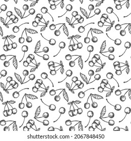Hand drawing seamless pattern with cherry in monochrome sketch engraved style isolated on white background. Design for branding textile or market cover, banner, cloth. Botanical vector illustration.
