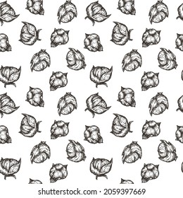 Hand drawing seamless pattern with cotton in monochrome sketch engraved style isolated on white background. Design for branding textile or market cover, banner, cloth. Botanical vector illustration.