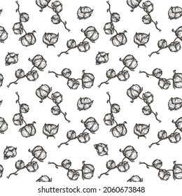 Hand drawing seamless pattern with cotton in monochrome sketch engraved style isolated on white background. Design for branding textile or market cover, banner, cloth. Botanical vector illustration.