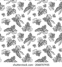 Hand drawing seamless pattern with grape in monochrome sketch engraved style isolated on white background. Design for branding textile or market cover, banner, cloth. Botanical vector illustration.