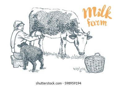 Hand drawing of a seated on the wooden stool milkmaid who milks the cow. Black sheep and basket. Milk farm vector illustration isolated on white background