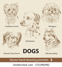 Juego de dibujo manual de un perro lindo reproduce la parte 3. Los perros se dirigen aislados sobre un fondo beige. Retrato realista dibujado a mano con lápiz. Recolección animal. Bien por imprimir camiseta, pancarta. Ilustración de las existencias