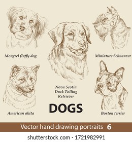 Hand drawing set of a cute dogs breeds part 6. Dogs head isolated on beige background. Pencil hand drawn realistic portrait. Animal collection. Good for print T-shirt, banner. Stock illustration