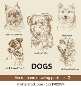 Hand drawing set of a cute dogs breeds. Dogs head isolated on beige background. Pencil hand drawn realistic portrait. Animal collection. Good for print T-shirt, banner. Stock illustration