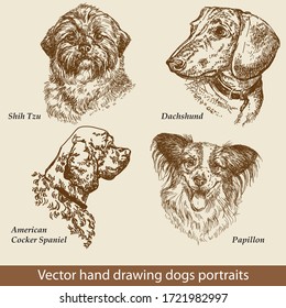 Hand drawing set of a cute dogs breeds. Dogs head isolated on beige background. Pencil, ink hand drawn realistic portrait. Animal collection. Good for print T-shirt, banner. Stock illustration