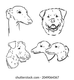 Hand drawing set of a cute dogs breeds part 7. Dogs head isolated on beige background. Pencil hand drawn realistic portrait. Animal collection. Good for print T-shirt, banner. Stock illustration