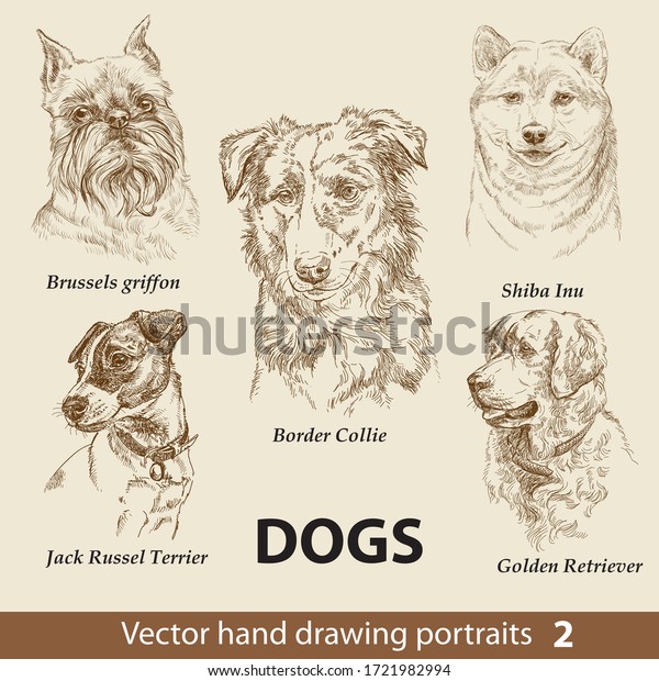 Hand drawing set of a cute dogs breeds. Dogs
head isolated on beige background. Pencil hand drawn realistic
portrait. Animal collection. Good for print T-shirt, banner. Stock
illustration