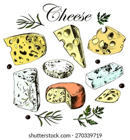 hand drawing set with different cheeses. Vector.