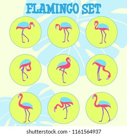Hand drawing set of flamingos