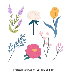 Hand drawing set of flowers, floral vector illustration for greeting card, invitation and printing design. Delicate summer floral plants with gorgeous petal, leaf. Modern botanical flat vector