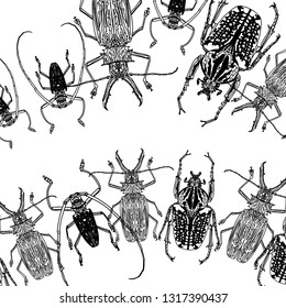 Hand drawing set insect beetle. Isolated on white. Vector illustration Decorative graphics. Element for print, tattoo art design, coloring for adults. - vector tattoo.Ornament, print.