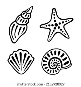 Hand drawing set of sea shells. Marine collection of shellfishes, sink and starfish. Graphic vector illustration isolated on white background. 