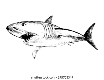 Shark Sketch Vector Graphics Monochrome Blackandwhite Stock Vector ...