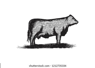 hand drawing silhouette  beef, cattle logo Designs Inspiration Isolated on White Background
