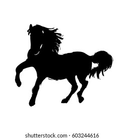 Hand drawing silhouette of an horse. Vector illustration