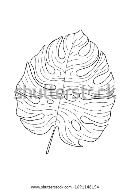 Download Hand Drawing Silhouette Tropical Leaf Monstera Stock Vector For Free Get Wallpaper Hand Drawing Silhouette Tropical Leaf Monstera Stock Vector Free
