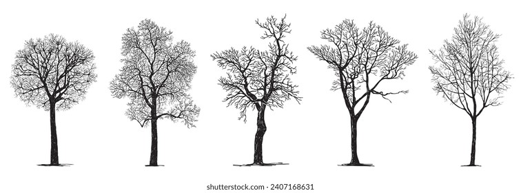 Hand drawing of silhouettes five bare deciduous trees in winter season without leaves isolated on white