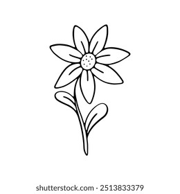 hand drawing of a single flower with a stem and leaves