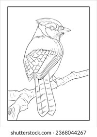 Hand drawing Sketch of a Blue Jay bird, outline Vector Bird Coloring page