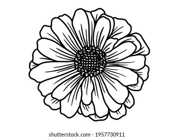 Hand drawing and sketch flower with line art illustration.