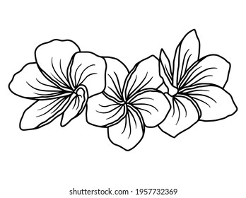 Hand drawing and sketch flower with line art illustration.