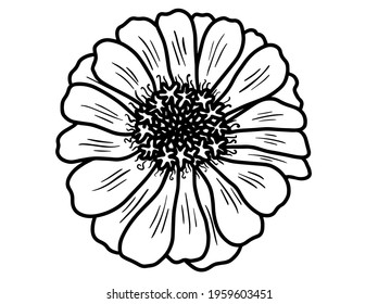 Hand drawing and sketch flower with line art illustration.