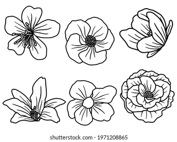 Hand drawing and sketch flower with line art illustration.