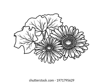 Hand drawing and sketch flower with line art illustration.