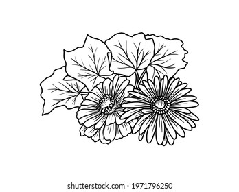Hand drawing and sketch flower with line art illustration.