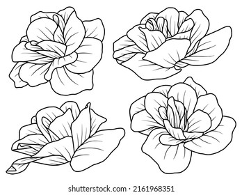 Hand Drawing Sketch Flower Line Art Stock Vector (Royalty Free ...