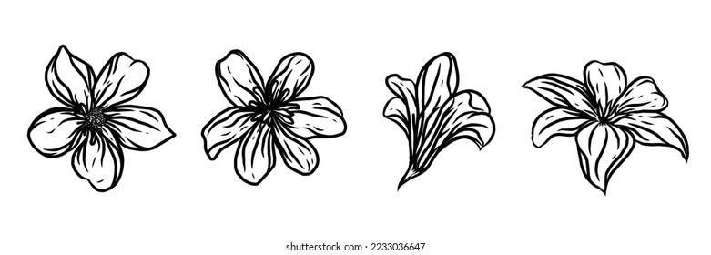 Hand drawing and sketch flowers, Black and white flowers with line art illustration. can be used for tatto, coloring books, invitations, posters, print design. floral background in line art style 