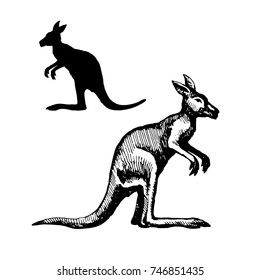 Hand drawing sketch of a kangaroo. Symbol of Australia, travel and tourism. Silhouette and contour pattern vector illustration.