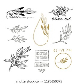 Hand Drawing Sketch of Olive Branches with Olives. Design Elements for Olive Oil Packaging