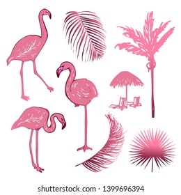 Hand drawing sketch of pink flamingo birds with leaves and palm. Exotic tropical collection isolated on the white background.