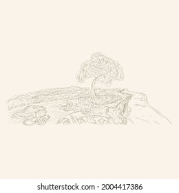 hand drawing sketch of the river view in the rice fields