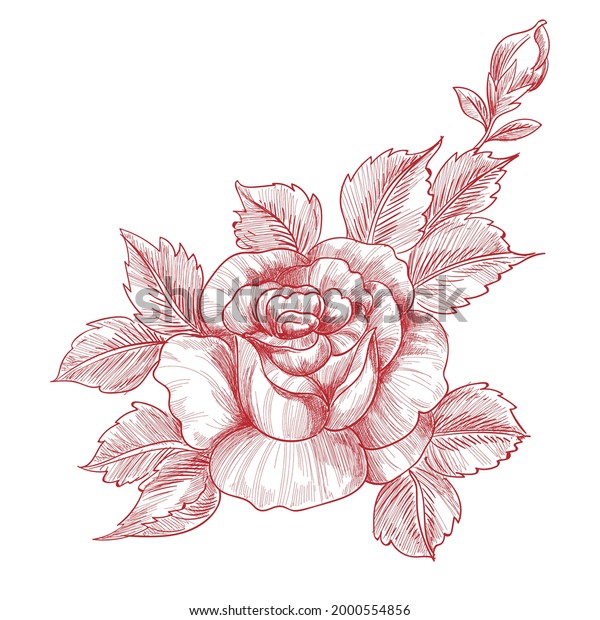 Hand drawing and\
sketch roses floral\
design