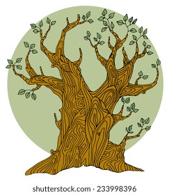 Hand drawing sketch of tree