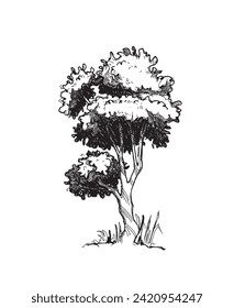 Hand drawing sketch of tree by pencil on a white paper. A minimalist outline scribble  paint tree drawing. 