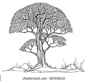 Hand drawing sketch of tree, vector illustration