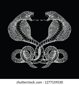 hand drawing sketch two cobras style engraving vector