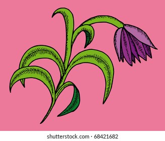 Hand drawing and sketched flower.