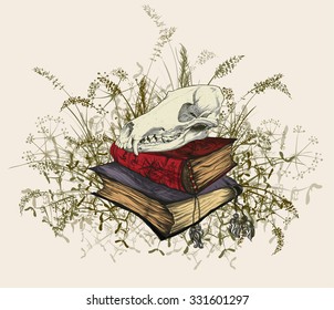 Hand drawing of a skull of the beast in the occult books, surrounded by a field of grass.