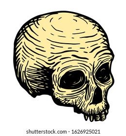 Hand drawing of a skull of a dead man, black on a white background. vector illustration