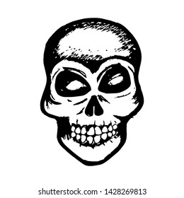 Hand drawing  skull of human