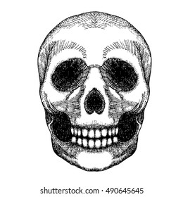 Hand drawing skull. Human skull sketch. Black and white illustration of skull with a lower jaw, hand drawn. Witchcraft magic, occult attribute decorative element. Death and mortality symbol. Vector.