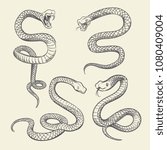Hand drawing snake set. Wildlife snakes tattoo vector design isolated. Wild snake poisonous sketch, dangerous animal reptile illustration