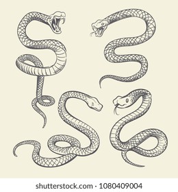 124,037 Snake Stock Vectors, Images & Vector Art | Shutterstock