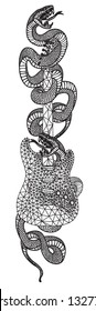 hand drawing snake sketch and guitar with line art illustration isolated on white background.