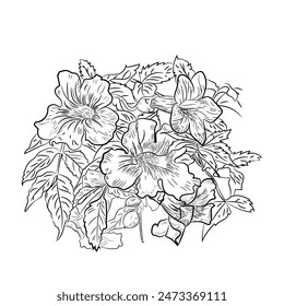 Hand drawing soyo flower plant black and white