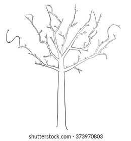 Hand drawing of a spring tree in blossom. branches form the word "Spring". vector illustration